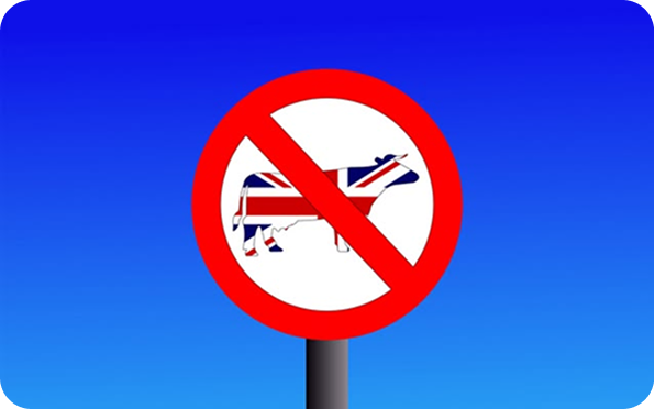 A no entry sign featuring a cow silhouette with the British flag pattern, against a blue gradient background, indicating a prohibition related to British cattle.