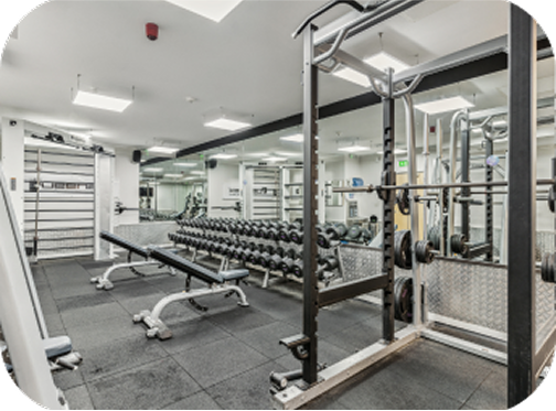 Modern gym with free weights, dumbbells, benches, squat rack, and large mirrors; bright lighting and rubber flooring, creating a clean and organized workout space.