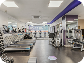 A modern gym with treadmills, weight machines, free weights, and exercise bikes on a black floor. Large mirrors and windows provide a bright, spacious atmosphere.